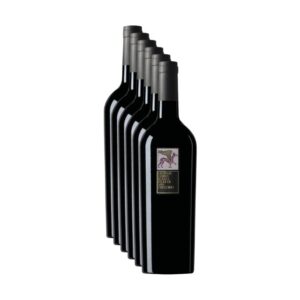 Confezione da 6 bottiglie di vino rosso Lacryma Christi del Vesuvio Feudi di San Gregorio 2024 su sfondo chiaro