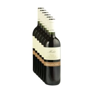 Confezione da 6 bottiglie di vino rosso Merlot Veneto IGT Vigne Del Sole su sfondo bianco ed elegante.