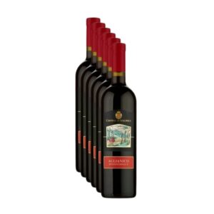 Cassa da 6 bottiglie di Aglianico Beneventano IGP 2024 Solopaca