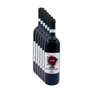 Bottiglia di vino rosso frizzante Bonarda dell'Oltrepò Pavese DOC Il Pozzo 2023 su sfondo bianco per e-commerce.