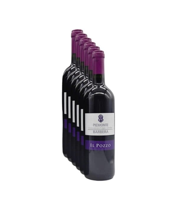 Barbera Piemonte DOC Il Pozzo 2024 (6 Bottiglie)