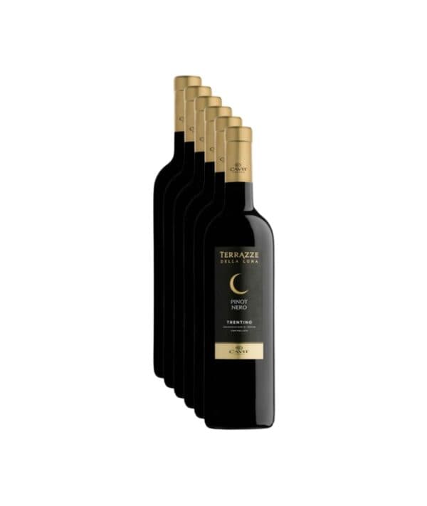 Pinot Nero Trentino DOC Terrazze della Luna 6 Bottiglie