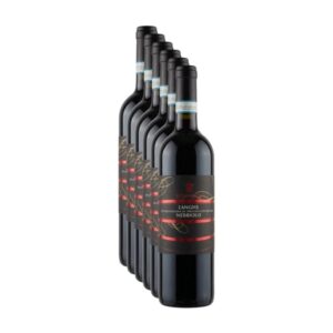 Lotto di 6 bottiglie di vino rosso piemontese Langhe DOC Nebbiolo 2023 Alte Rocche Bianche.
