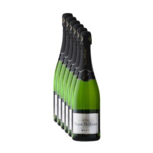 Confezione da 6 bottiglie di Champagne Veuve Pelletier Brut