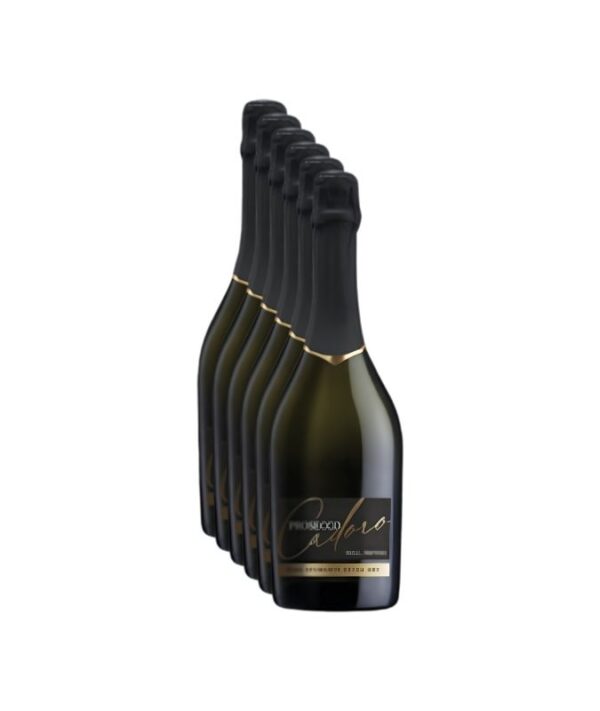 Cassa da 6 bottiglie di vino spumante Prosecco Treviso DOC Extra Dry Ca' D'Oro su sfondo chiaro.
