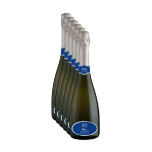 Cassa da 6 bottiglie di Spumante Brut Millesimato Ca Ernesto