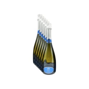 Spumante Brut Millesimato Ca' Ernesto 6 Bottiglie