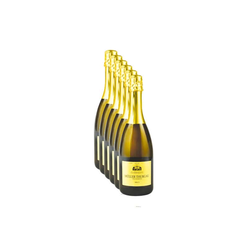 Spumante Brut Muller Thurgau Ca' Ernesto 6 Bottiglie