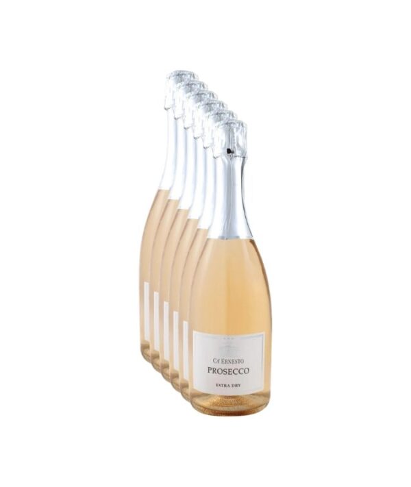 Cassa da 6 bottiglie di spumante Prosecco Rosé Extra Dry DOC Ca' Ernesto su sfondo chiaro.