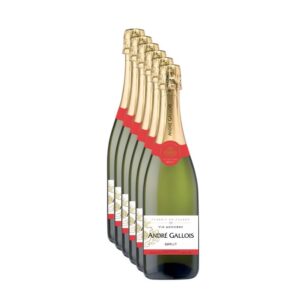 Cassa da 6 bottiglie di Spumante Andre Gallois Brut