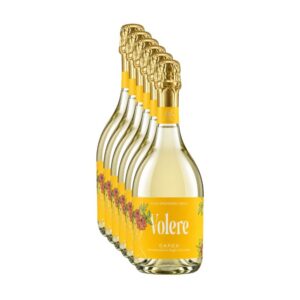 Cassa da 6 bottiglie di Spumante Brut DOC Volere Garda