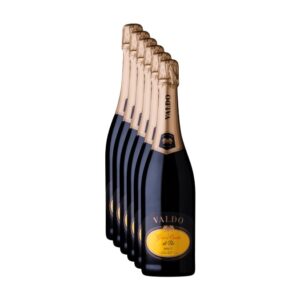 Cassa da 6 bottiglie di Spumante Brut Gran Cuvee CA DE PAI Valdo Valdobbiadene
