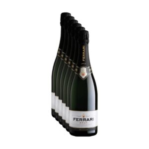 Cassa da 6 bottiglie di Spumante Trentodoc Brut Ferrari