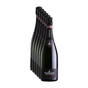 Cassa da 6 bottiglie di Spumante Trentodoc Maximum Blanc de Blancs Ferrari