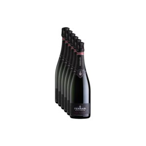 Spumante Trentodoc Maximum Blanc de Blancs Ferrari 6 Bottiglie