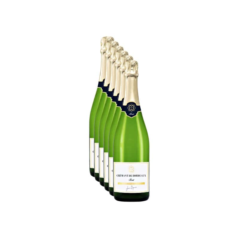 Spumante Cremant Bordeaux Brut AOC Jean Degaves 6 Bottiglie