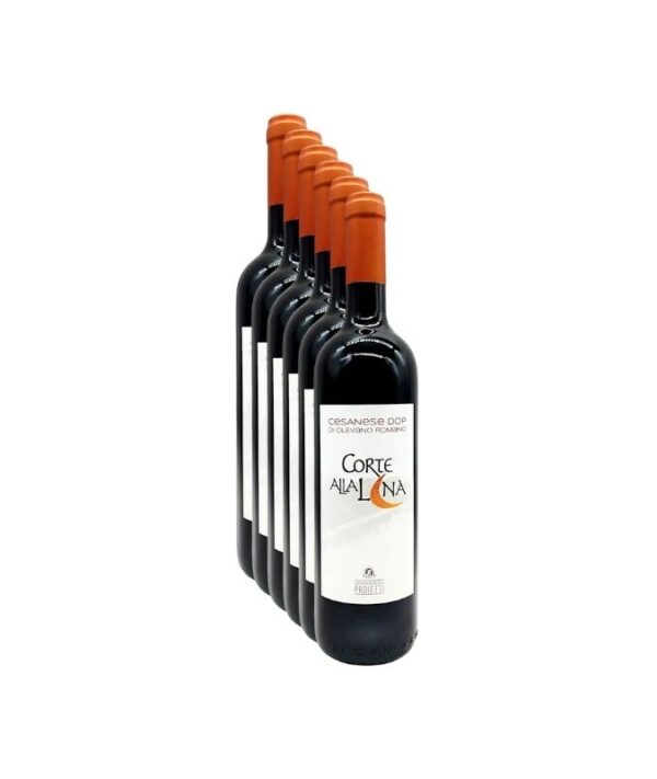 Confezione promozionale da 6 bottiglie di vino rosso Cesanese di Olevano Romano Corte Alla Luna Proietti 2024 su sfondo chiaro.
