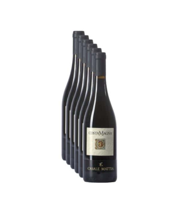 Lazio IGT Merlot 2024 CostaMagna Casale Mattia MyFiesta